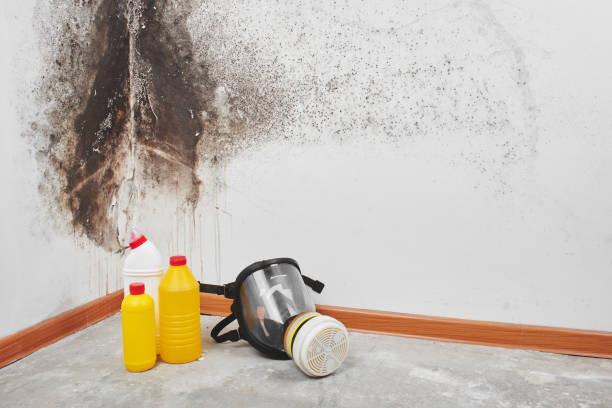 Best Crawl Space Mold Removal  in Greenhills, OH