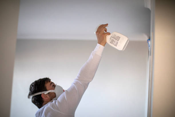 Best Toxic Mold Removal  in Greenhills, OH