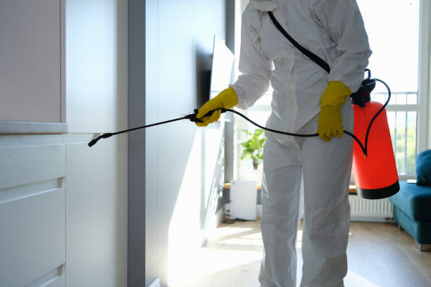 Best Affordable Mold Removal  in Greenhills, OH